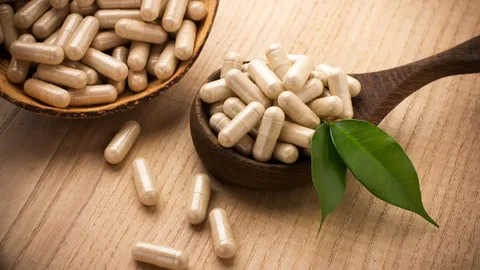 The Benefits of Nootropic Supplements for Students